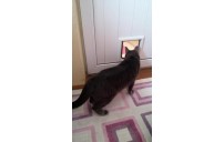 Kedi Kapısı Eğitimi